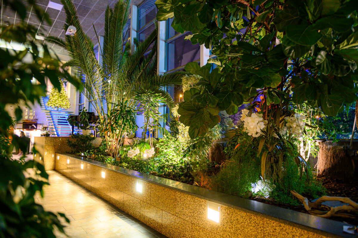 Wellnesspakett ORHIDEE